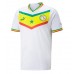 Senegal Replika Hemma matchkläder VM 2022 Korta ärmar